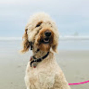 Meet your Posher, June